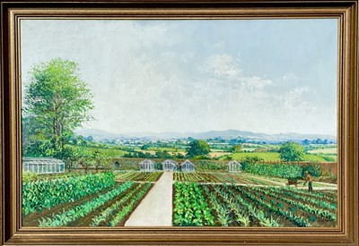Lot 64 - John MILLER (1931 – 2002)