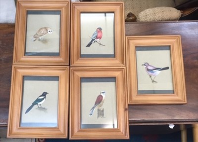 Lot 1051 - Fiona LUKES Five studies of birds Watercolour...