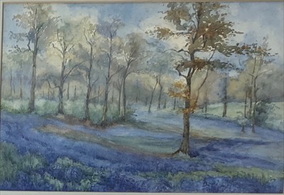 Lot 1094 - English School, early 20th Century Bluebell...