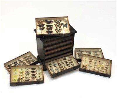 Lot 414 - A Victorian stained pine lepidoptorist's chest...
