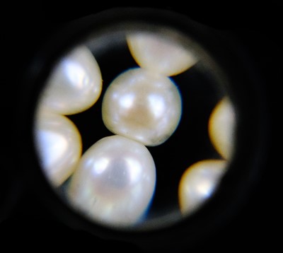 Lot 70 - An exquisite Art Deco four-row natural saltwater pearl choker with diamond and sapphire clasp.