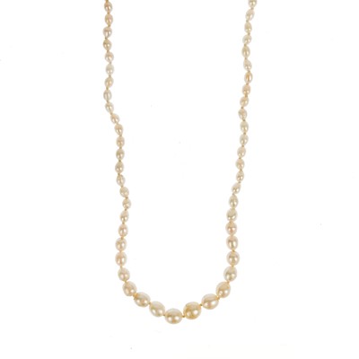 Lot 54 - A graduated cultured pearl necklace with gold and white metal clasp set with three diamonds.