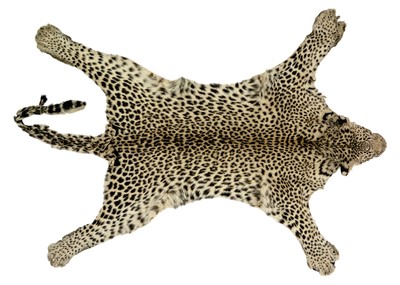 Lot 124 - An early 20th century Leopard skin rug.
