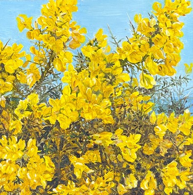 Lot 66 - Diana PURCHAS (Contemporary, West Cornwall)