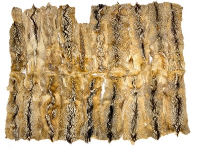 Lot 218 - An Argentine wolf tail skin rug.