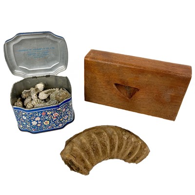 Lot 13 - An ammonite fossil section mounted on an oak plinth.