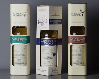 Lot 20 - Bladnoch 1993-2009 Gordon & MacPhail.