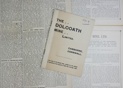 Lot 48 - Dolcoath Mine, Ltd.