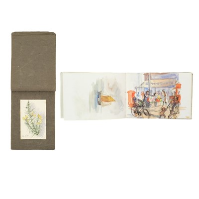 Lot 334 - An early 20th Century sketchbook of watercolours with a botanical interest