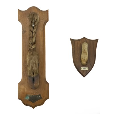 Lot 33 - A French taxidermy deer slot.