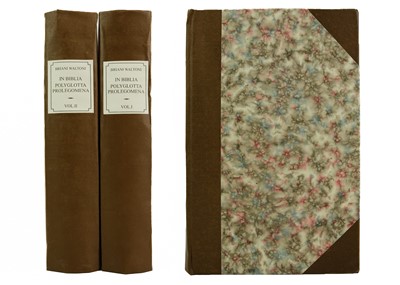 Lot 371 - STP Briani Waltoni