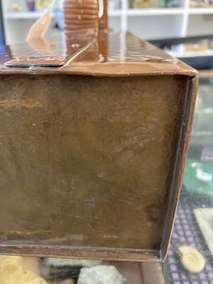 Lot 9 - A Newlyn copper hot water jug.