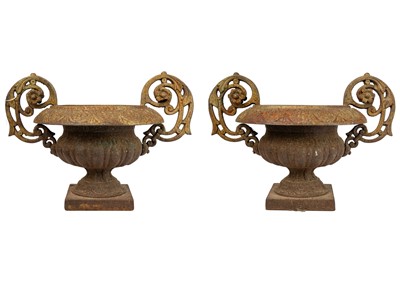 Lot 529 - A pair of French cast iron twin handled campana urns.