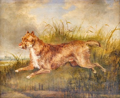 Lot 1042 - English school, 19th century.