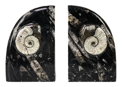 Lot 77 - A pair of polished goniatite orthoceras marble bookends.