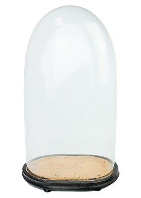 Lot 13 - A Victorian glass dome and pine oval base.