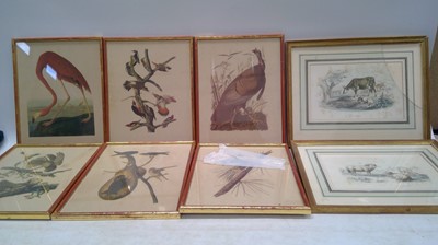 Lot 205 - Bird lithographs and other prints, the largest...