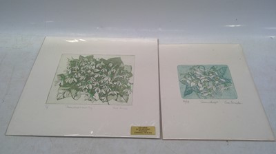 Lot 221 - Two Sue Wride limited edition snowdrops prints,...