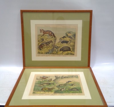 Lot 228 - Two informative prints on 'rodents' and...