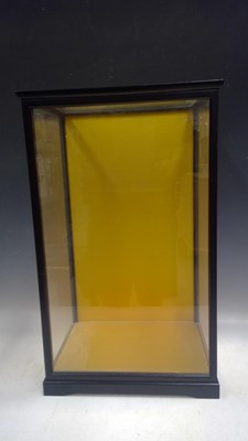 Lot 291 - A Modern, Display Case. The Case measures 54cm...