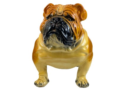 Lot 43 - A life size plaster model of a bulldog..