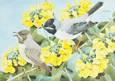 Lot 151 - Noel William CUSA (1909-1990)