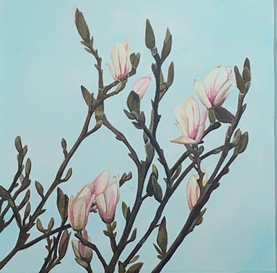 Lot 51 - Rebecca JEWELL (b.1974) Magnolia Buds Oil on...
