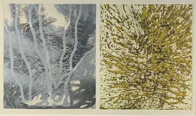 Lot 66 - Michael PORTER (b.1948) Untitled Diptych...