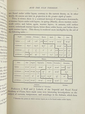 Lot 26 - G. L. Faber