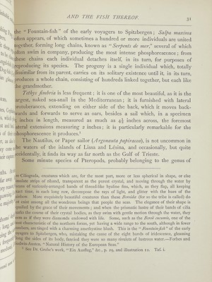 Lot 26 - G. L. Faber