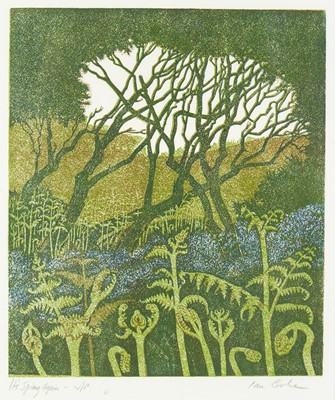 Lot 192 - Ian McNeil COOKE (1937)