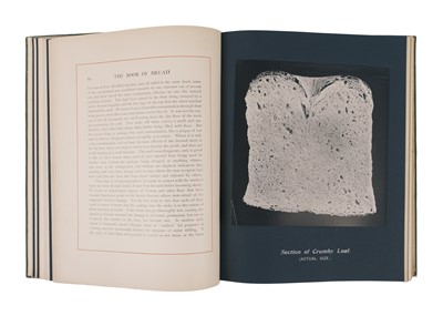 Lot 3 - Owen Simmons