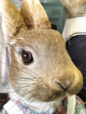 Lot 1236 - Gus Honeybun