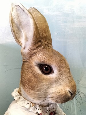 Lot 1236 - Gus Honeybun