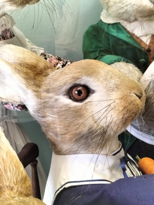 Lot 1236 - Gus Honeybun