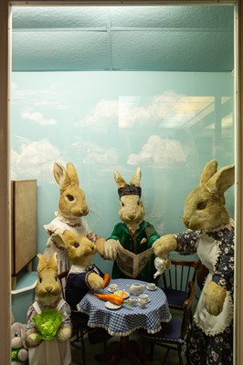 Lot 1236 - Gus Honeybun