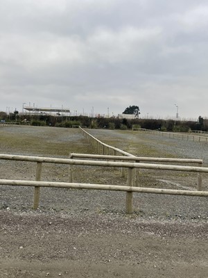 Lot 1555 - Half Round Treated Timber Fencing in Car Park