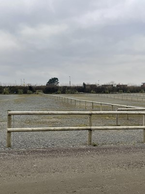 Lot 1557 - Half Round Treated Timber Fencing in Car Park