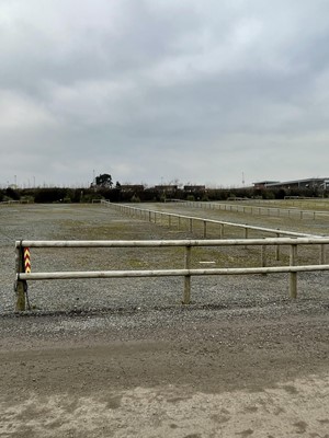 Lot 1558 - Half Round Treated Timber Fencing in Car Park
