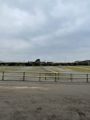 Lot 1559 - Half Round Treated Timber Fencing in Car Park