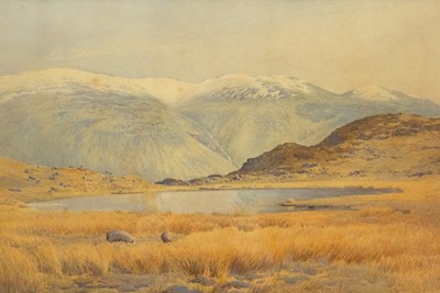 Lot 119 - Richard REDFERN (act.1873-1889)