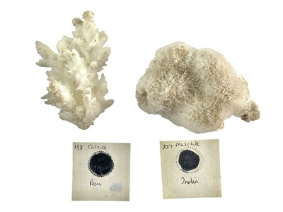 Lot 150 - Minerals