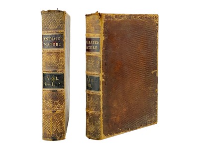 Lot 343 - Oliver Goldsmith