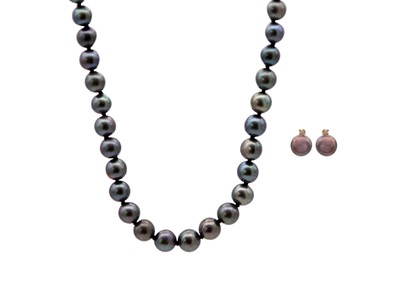 Lot 113 - A pair of black pearl and tiny diamond set yellow gold stud earrings, and a black pearl necklace.