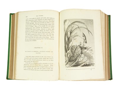 Lot 11 - F. A. Pouchet