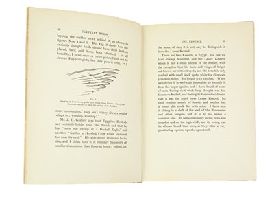 Lot 27 - Charles Whymper