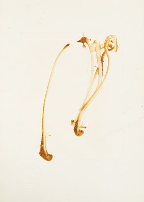 Lot 173 - Sandra BLOW (1925-2006)
