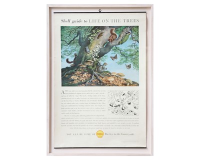Lot 24 - Three framed shell guide posters.