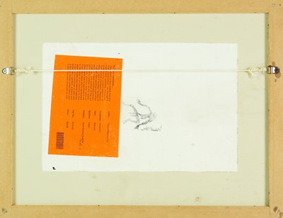 Lot 18 - Nagurrgurrba TREVOR (1974)