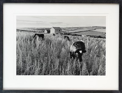 Lot 133 - Ander GUNN (XX-XXI)